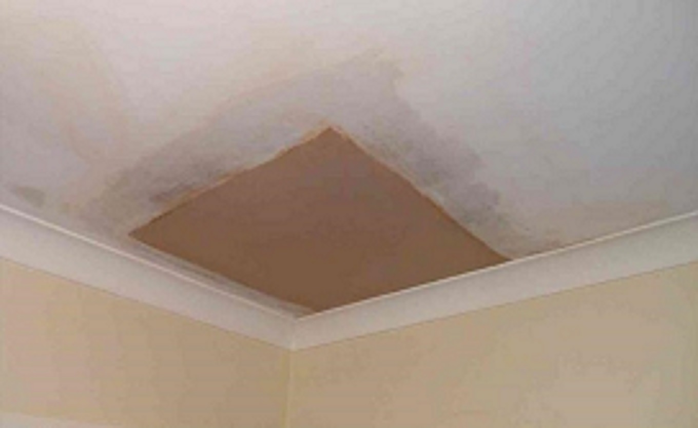 Prestige Plastering Torquay — Photos 3